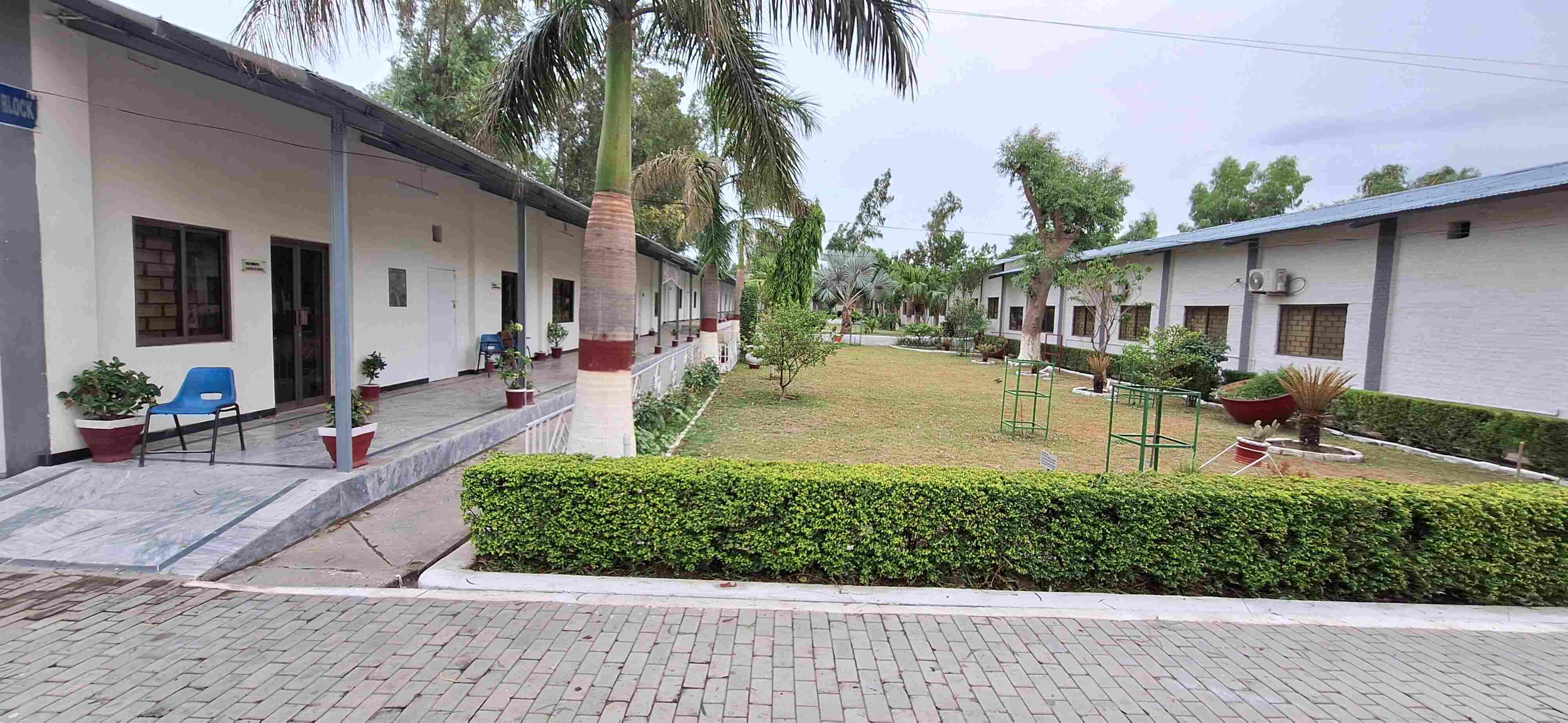 FG Public School No.4 (Boys) Wah Cantt